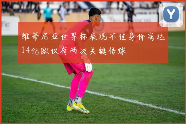 维蒂尼亚世界杯表现不佳身价高达14亿欧仅有两次关键传球